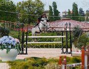GROSSATO M BUDDIES ItaAss2013- S5 1448 : BUDDIES BELVINO V, Campionati Italiani 2013, Cattolica, GROSSATO MASSIMO, Horse Riviera Resort, foto di Stefano Secchi ©